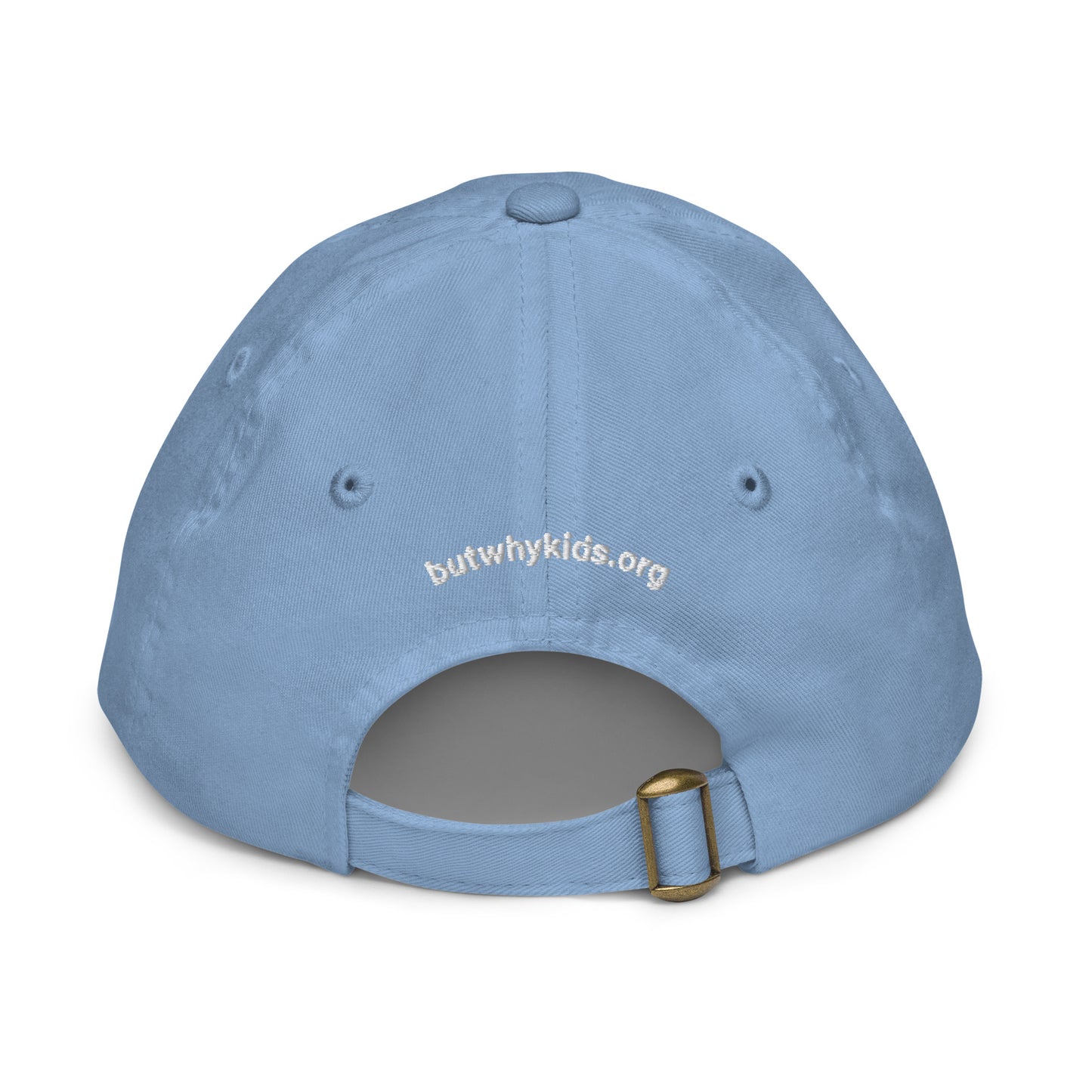 Youth Ball Cap - Embroidered But Why Logo (multiple colors)