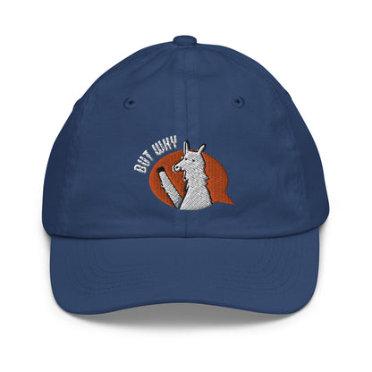 Youth Ball Cap - Embroidered Llama (multiple colors)